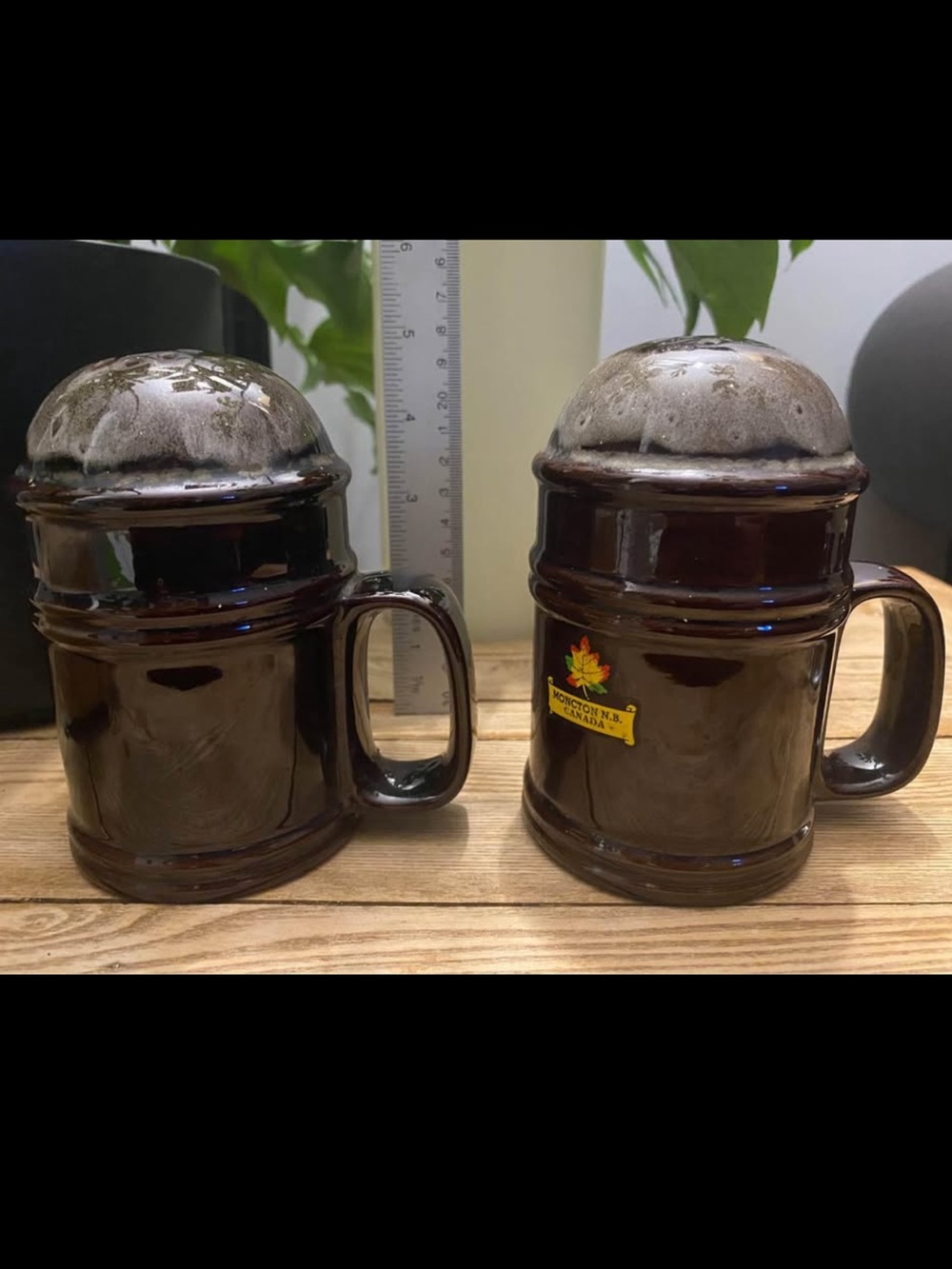 Vintage Moncton N.B. Canada Souvenir Salt & Pepper Shakers